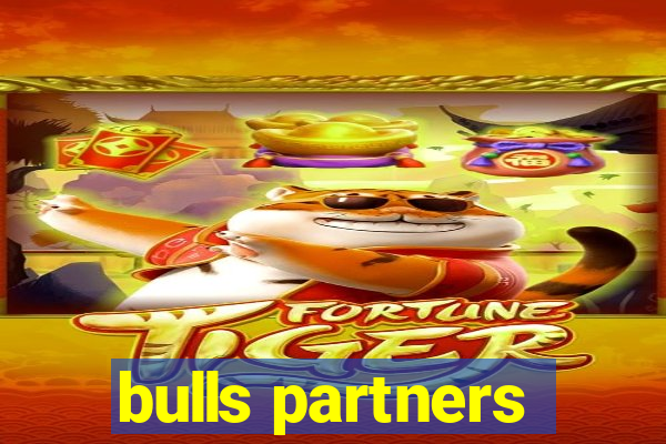 bulls partners